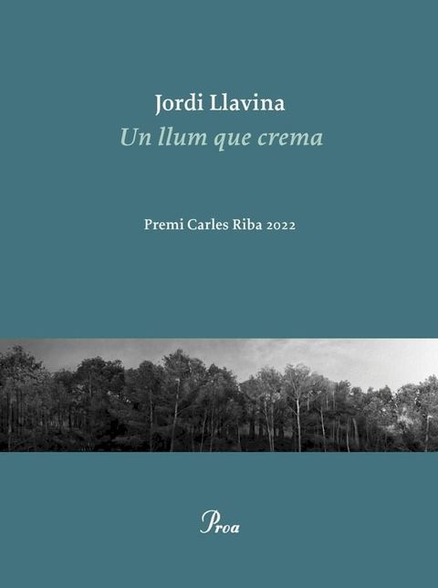 Un llum que crema(Kobo/電子書)