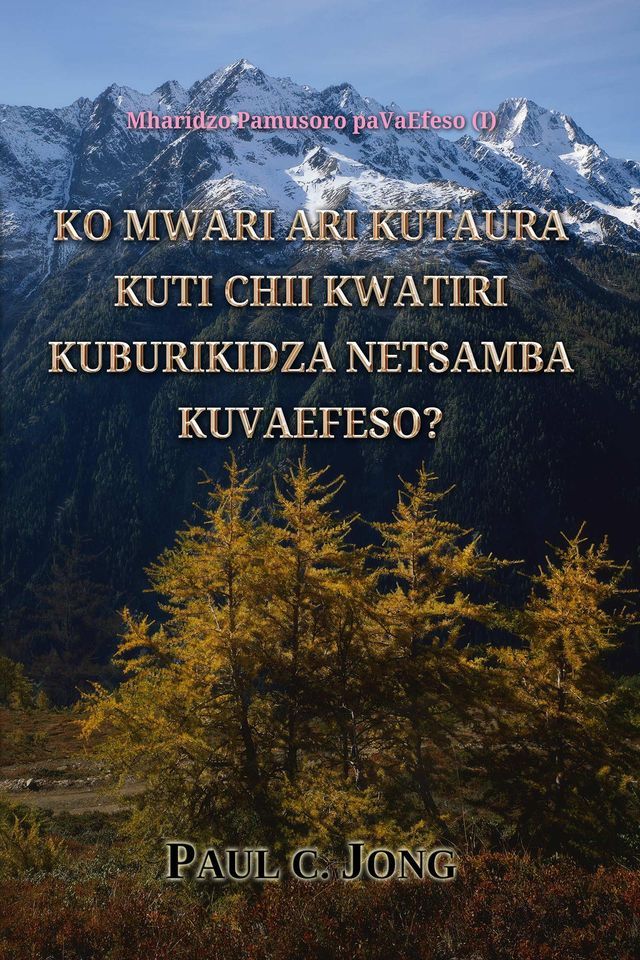  Mharidzo Pamusoro paVaEfeso (I) - Ko Mwari ari Kutaura Kuti Chii Kwatiri Kuburikidza Netsamba Kuvaefeso?(Kobo/電子書)