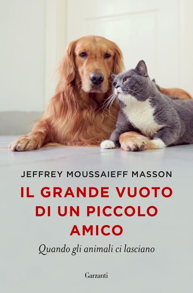  Il grande vuoto di un piccolo amico(Kobo/電子書)