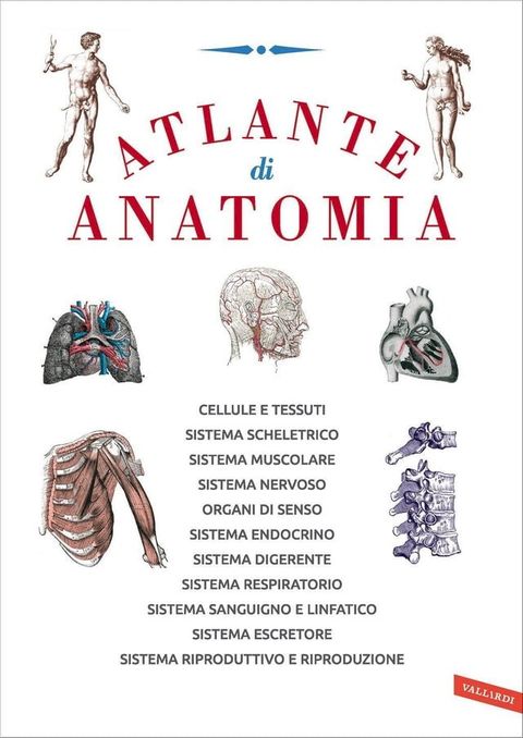 Atlante di anatomia(Kobo/電子書)