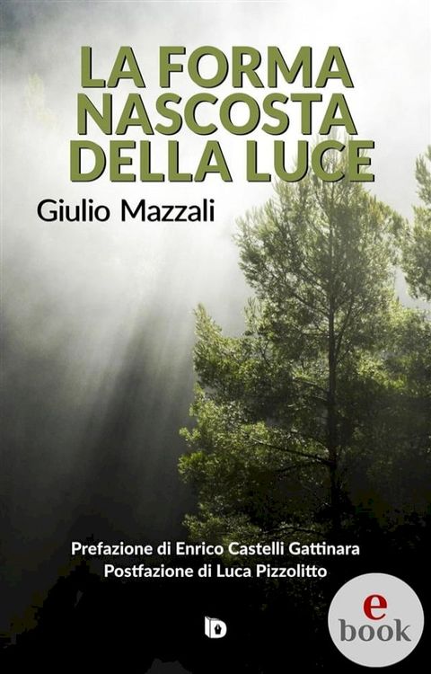 La forma nascosta della luce(Kobo/電子書)