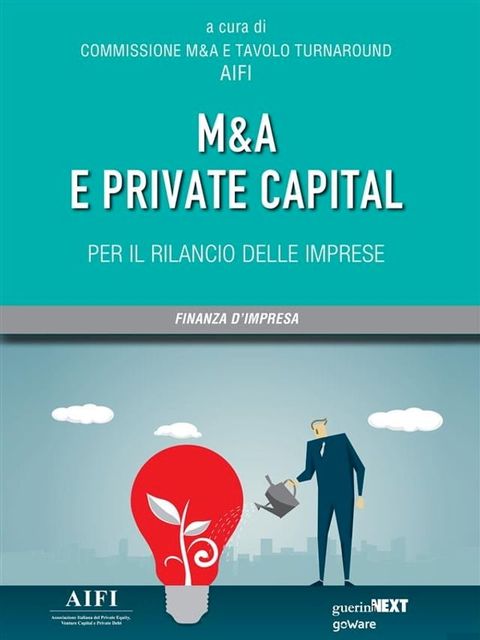 M&A e private capital per il rilancio delle imprese(Kobo/電子書)