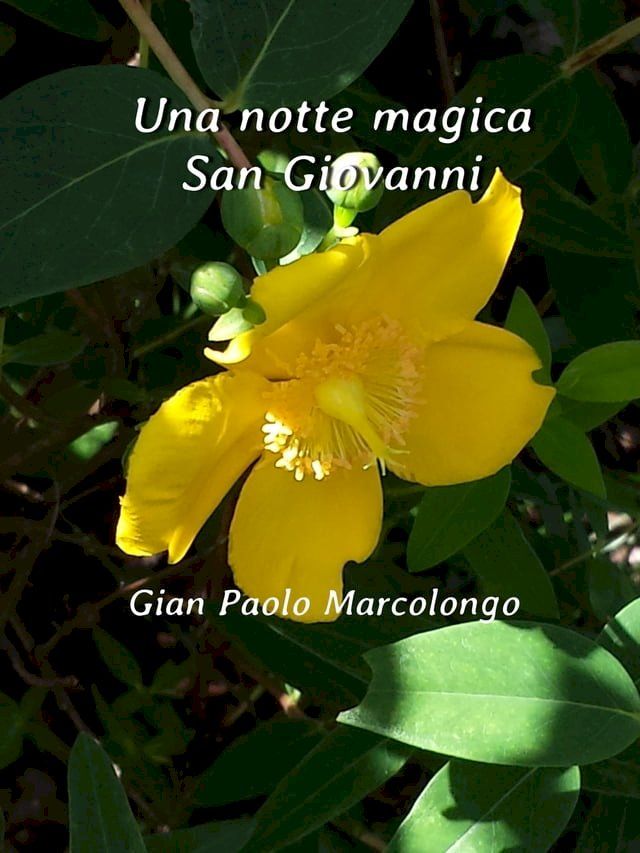  Una notte magica San Giovanni(Kobo/電子書)