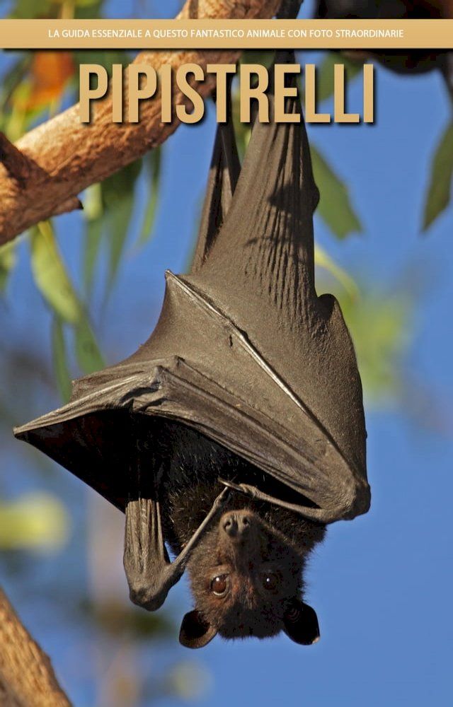  Pipistrelli: la guida essenziale a questo fantastico animale con foto straordinarie(Kobo/電子書)