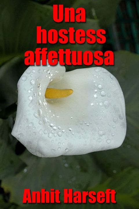 Una hostess affettuosa(Kobo/電子書)