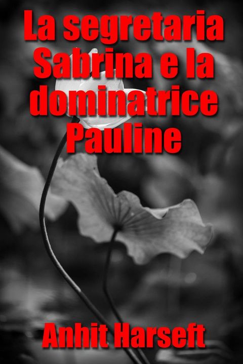 La segretaria Sabrina e la dominatrice Pauline(Kobo/電子書)