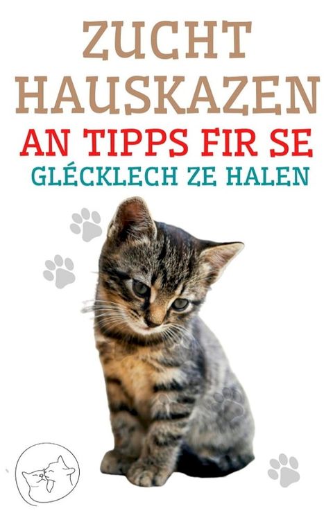 Zucht Hauskazen an Tipps fir se glécklech ze halen