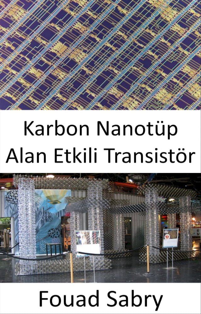  Karbon Nanot&uuml;p Alan Etkili Transist&ouml;r(Kobo/電子書)