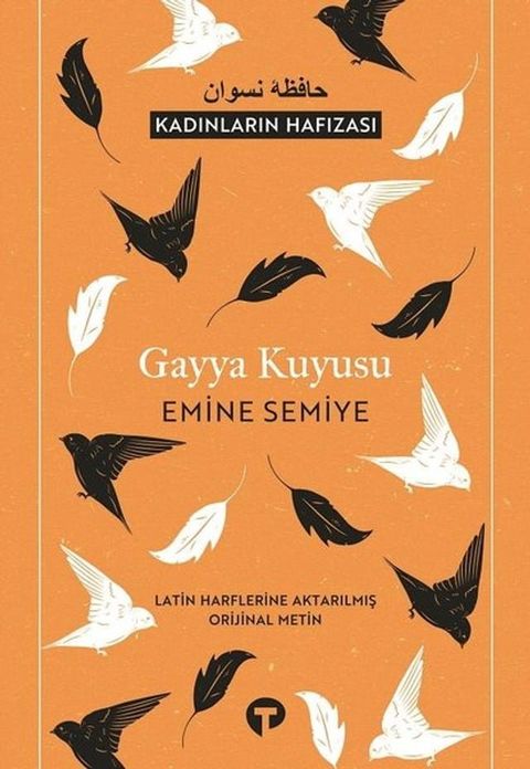 Gayya Kuyusu-Kadınların Hafızası(Kobo/電子書)