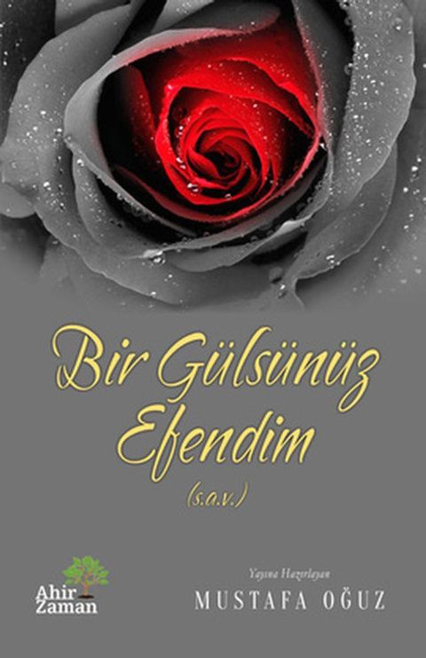 Bir G&uuml;ls&uuml;n&uuml;z Efendim(Kobo/電子書)