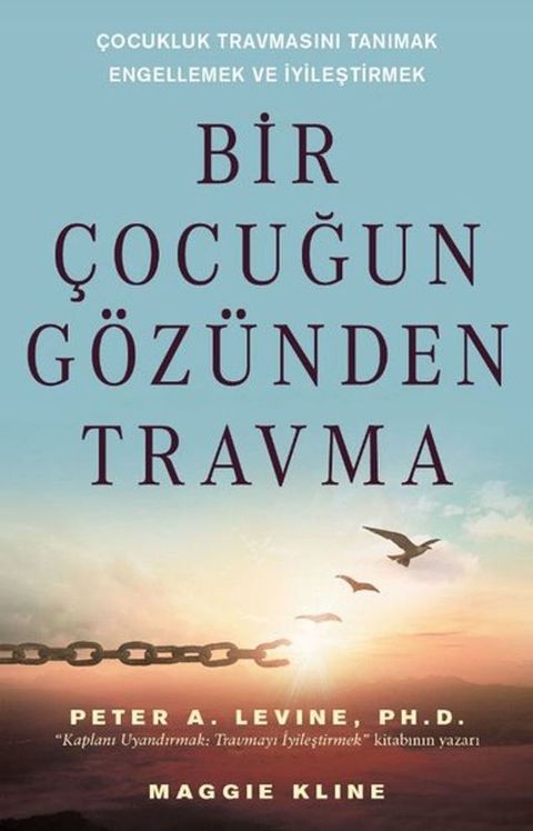 Bir &Ccedil;ocuğun G&ouml;z&uuml;nden Travma - &Ccedil;ocukluk Travmasını Tanımak Engellemek ve İyileştirmek(Kobo/電子書)