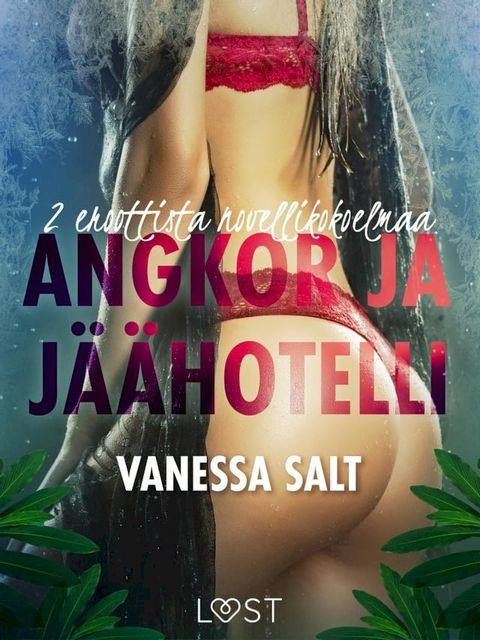 Angkor ja Jäähotelli: 2 eroottista novellikokoelmaa Vanessa Saltilta(Kobo/電子書)