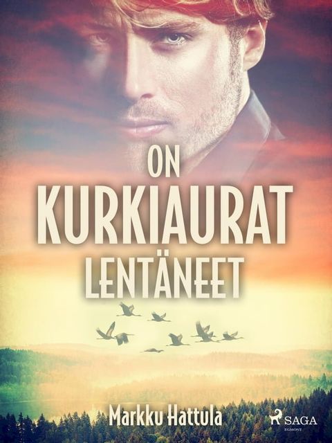 On kurkiaurat lent&auml;neet(Kobo/電子書)