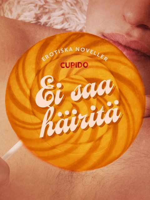 Ei saa häiritä – eroottinen novellikokoelma(Kobo/電子書)