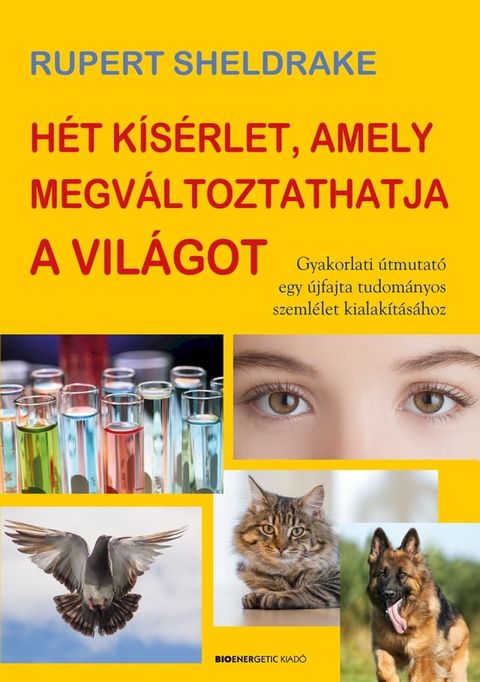 H&eacute;t k&iacute;s&eacute;rlet, amely megv&aacute;ltoztathatja a vil&aacute;got(Kobo/電子書)