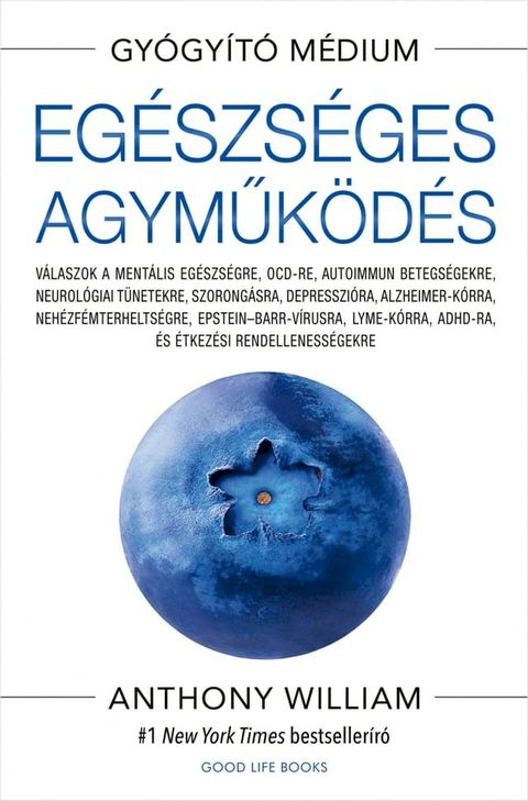 Eg&eacute;szs&eacute;ges agyműk&ouml;d&eacute;s(Kobo/電子書)