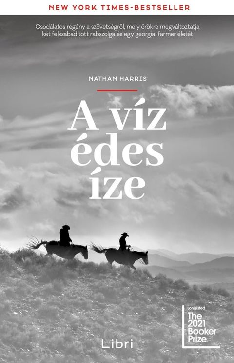 A v&iacute;z &eacute;des &iacute;ze(Kobo/電子書)