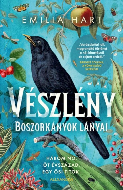 V&eacute;szl&eacute;ny - Boszork&aacute;nyok l&aacute;nyai(Kobo/電子書)