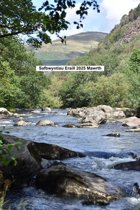 Golygfeydd eraill 2025 Mawrth