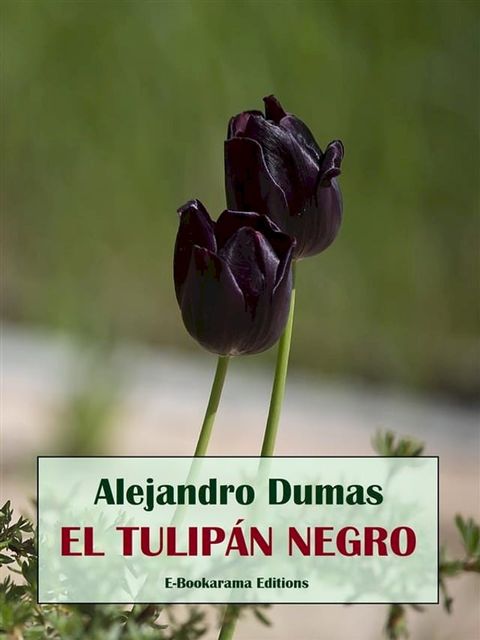 El tulip&aacute;n negro(Kobo/電子書)