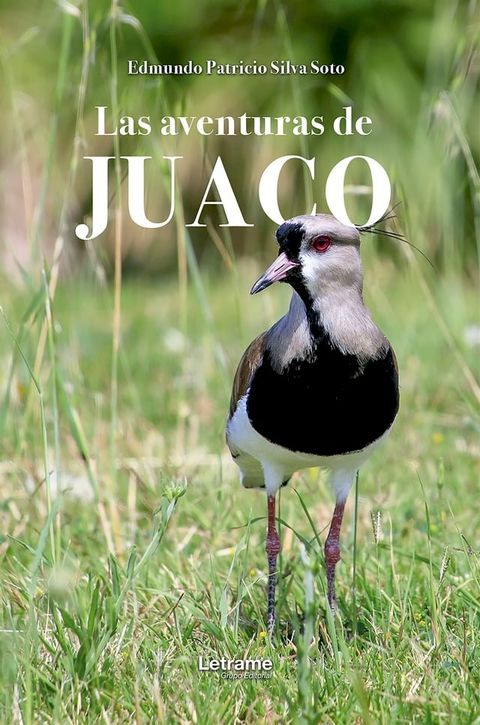 Las aventuras de Juaco(Kobo/電子書)