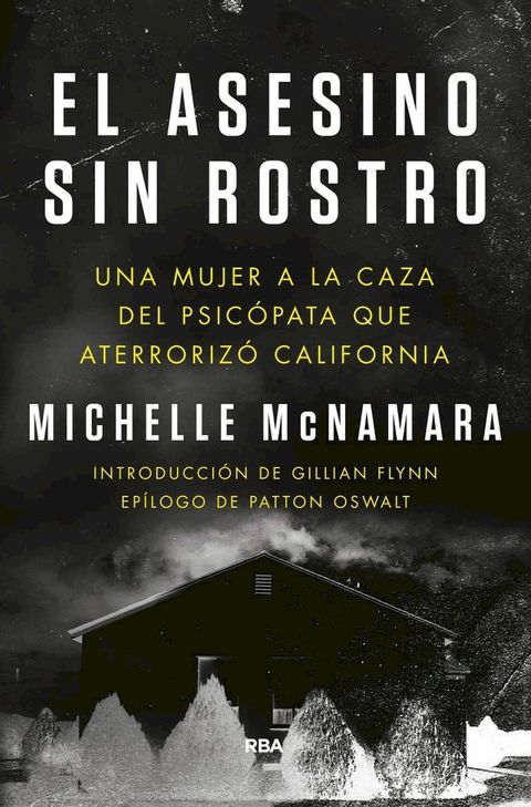 El asesino sin rostro(Kobo/電子書)