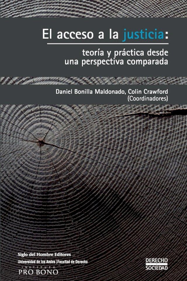  El acceso a la justicia: teor&iacute;a y pr&aacute;ctica desde una perspectiva comparada(Kobo/電子書)