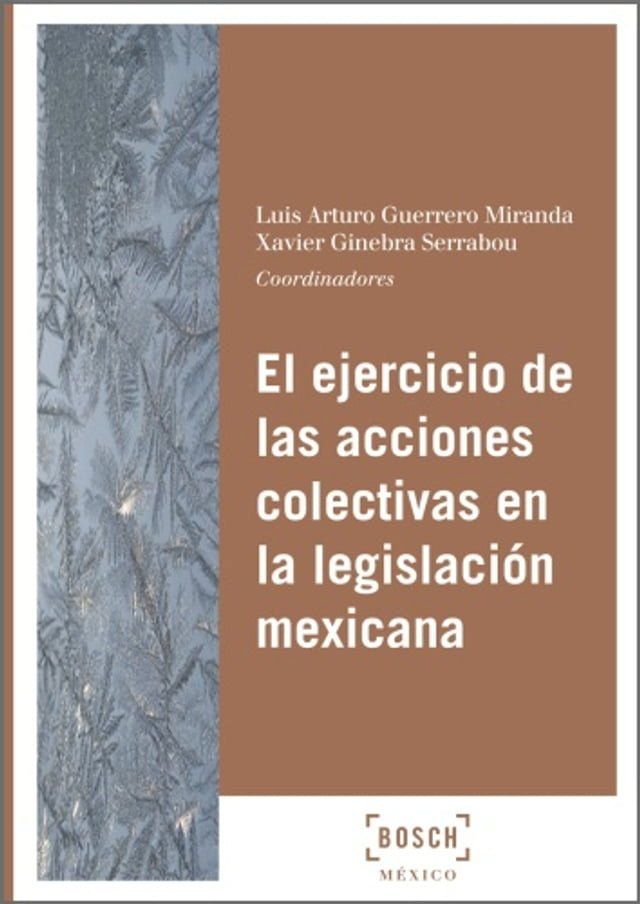  El ejercicio de las acciones colectivas en la legislaci&oacute;n mexicana(Kobo/電子書)