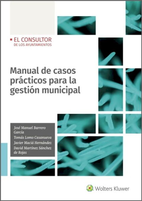 Manual de casos prácticos para la gestión municipal(Kobo/電子書)