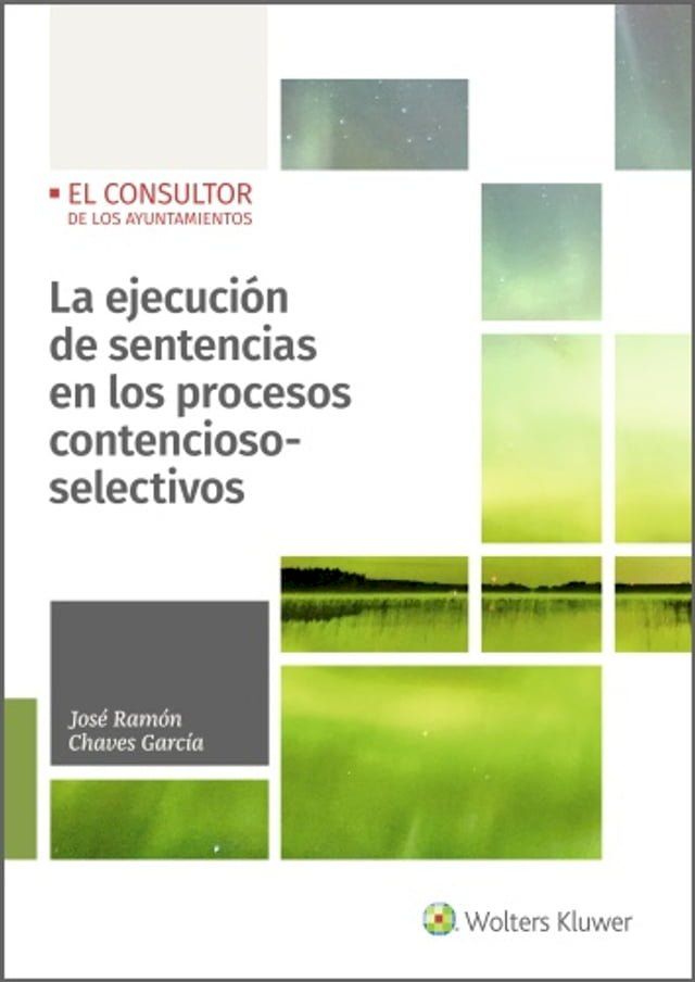  La ejecución de sentencias en los procesos contencioso-selectivos(Kobo/電子書)