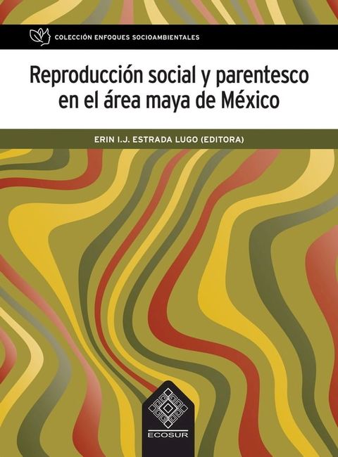 Reproducción social y parentesco en el área maya de México(Kobo/電子書)