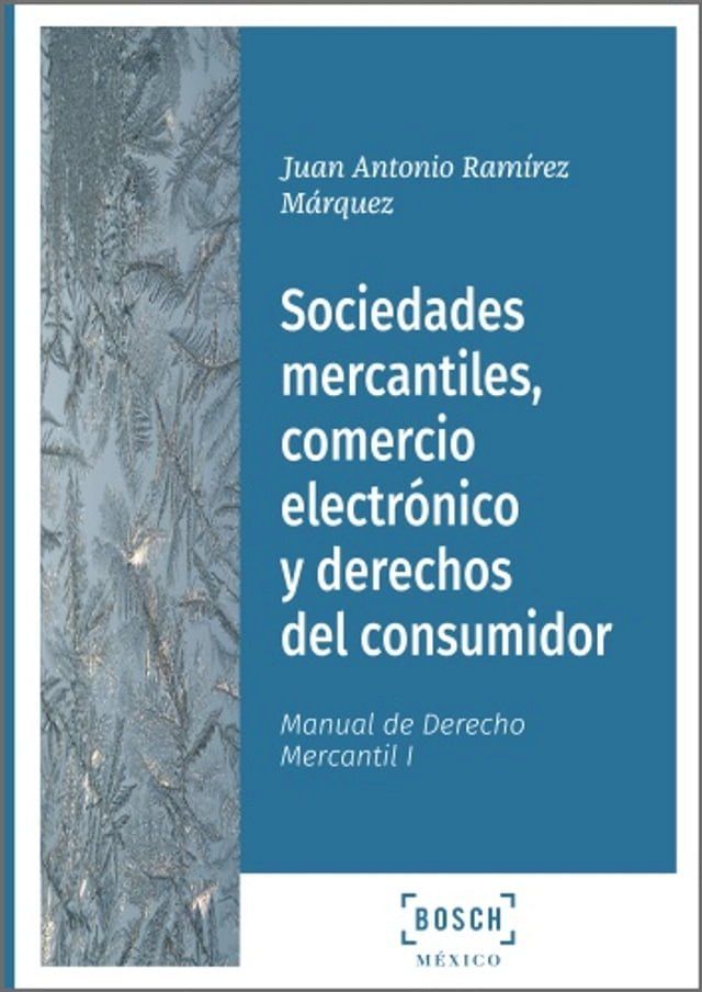  Sociedades mercantiles, comercio electr&oacute;nico y derechos del consumidor(Kobo/電子書)