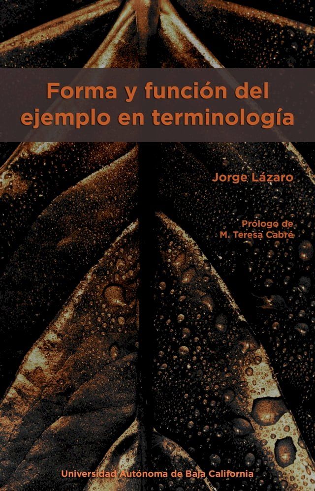  Forma y funci&oacute;n del ejemplo en terminolog&iacute;a(Kobo/電子書)