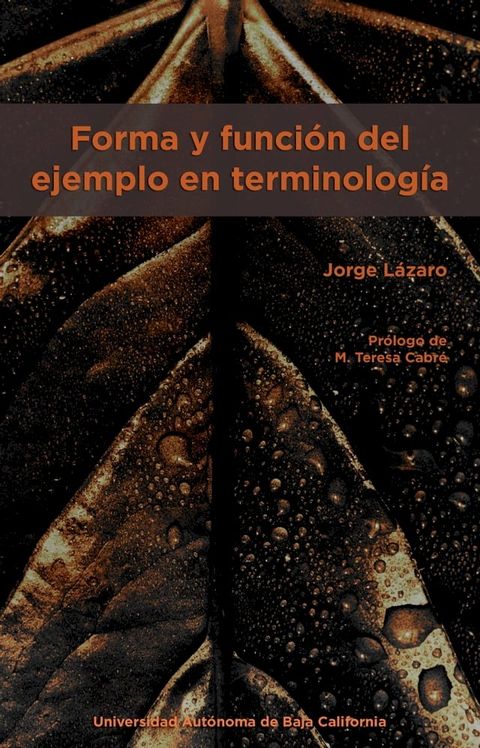 Forma y funci&oacute;n del ejemplo en terminolog&iacute;a(Kobo/電子書)