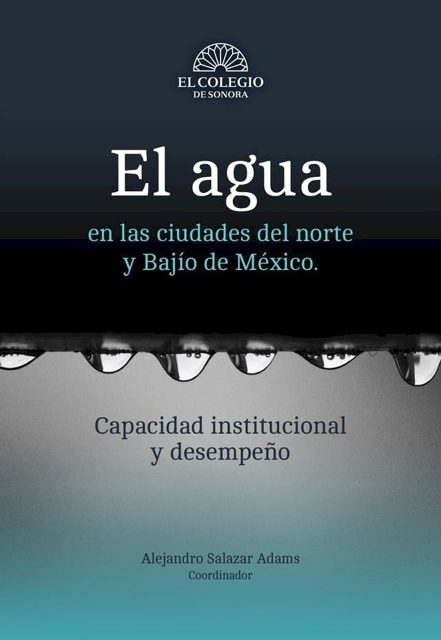  El agua en las ciudades del norte y Baj&iacute;o de M&eacute;xico : capacidad institucional y desempe&ntilde;o(Kobo/電子書)