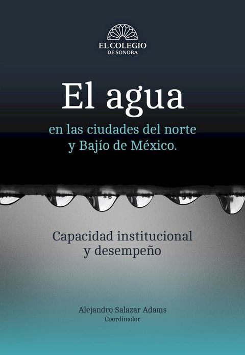 El agua en las ciudades del norte y Baj&iacute;o de M&eacute;xico : capacidad institucional y desempe&ntilde;o(Kobo/電子書)