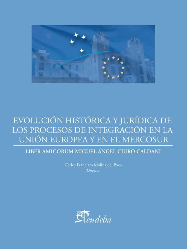  Evolución histórica y jurídica de los procesos de integración de la Unión Europea y el Mercosur(Kobo/電子書)