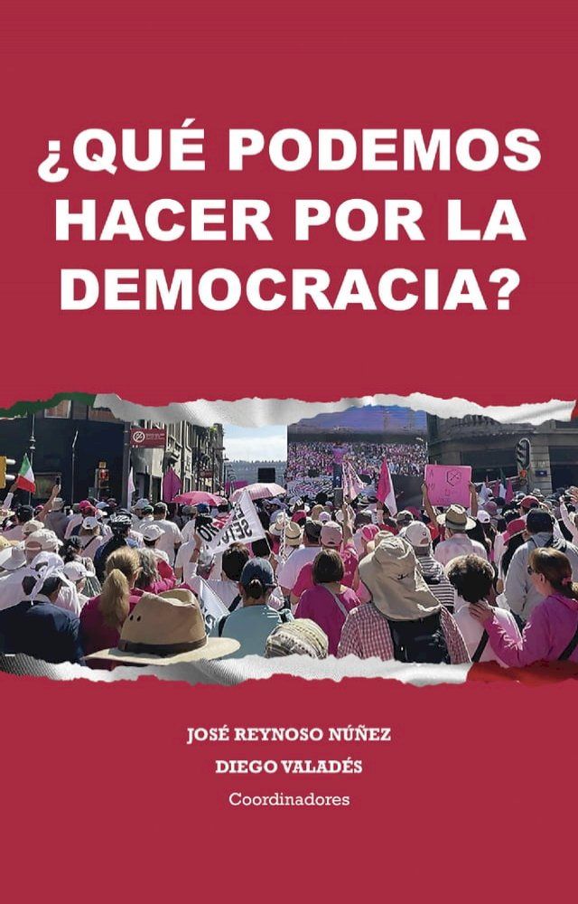  &iquest;Qu&eacute; podemos hacer por la democracia?(Kobo/電子書)