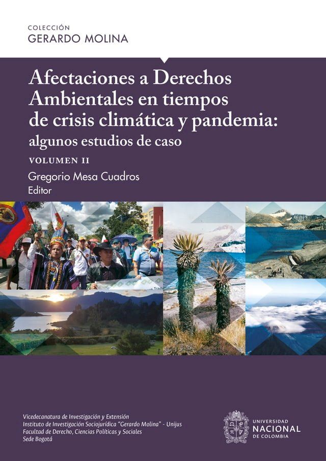  Afectaciones a Derechos Ambientales en tiempos de crisis clim&aacute;tica y pandemia: algunos estudios de caso, volumen II(Kobo/電子書)