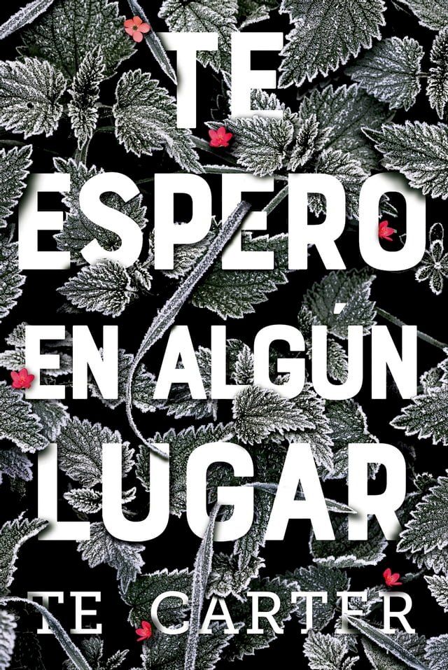  Te espero en algún lugar(Kobo/電子書)