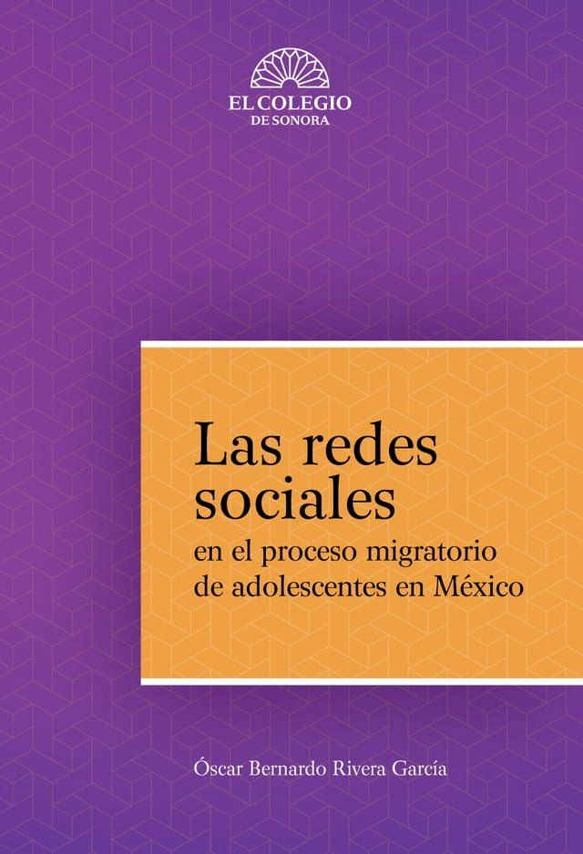  Las redes sociales en el proceso migratorio de adolescentes en M&eacute;xico(Kobo/電子書)