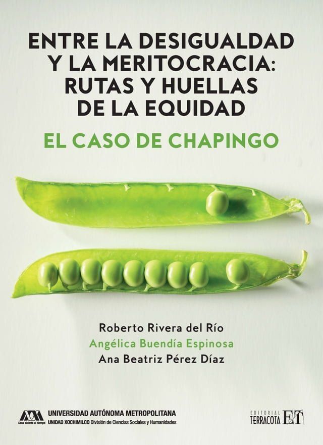  Entre la desigualdad y la meritocracia: rutas y huellas de la equidad(Kobo/電子書)