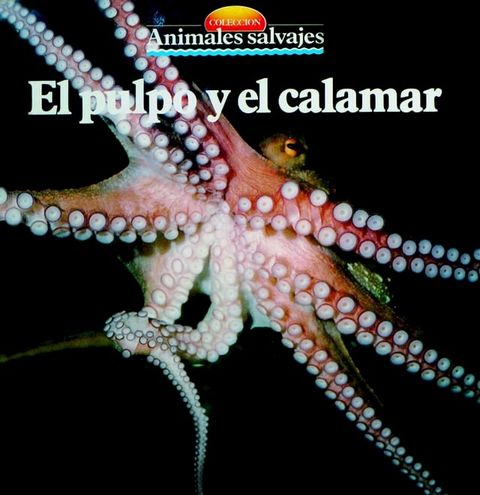 El pulpo y el calamar(Kobo/電子書)