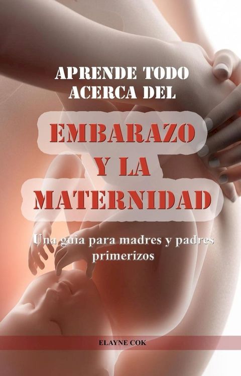 Aprende todo acerca del embarazo y la maternidad - Una gu&iacute;a para madres y padres primerizos(Kobo/電子書)