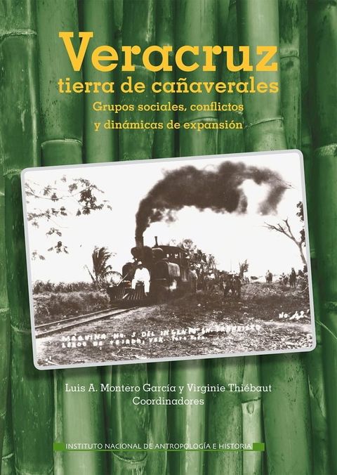 Veracruz, tierra de cañaverales. Grupos sociales, conflictos y dinámicas de expansión(Kobo/電子書)