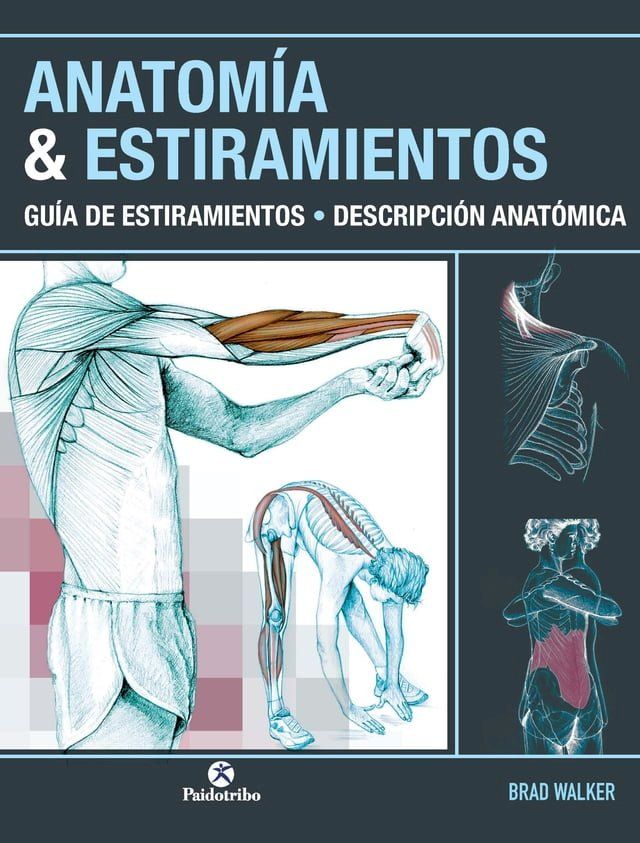  Anatom&iacute;a & Estiramientos(Kobo/電子書)