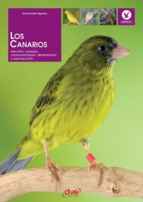 Los canarios. Elecci&oacute;n, cuidado, comportamiento, alimentaci&oacute;n y reproducci&oacute;n(Kobo/電子書)