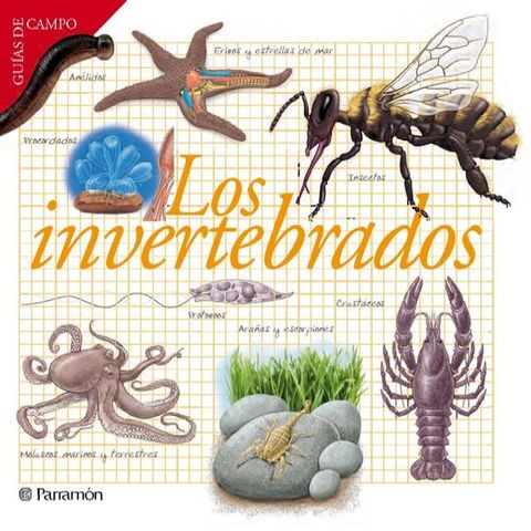 Los invertebrados(Kobo/電子書)