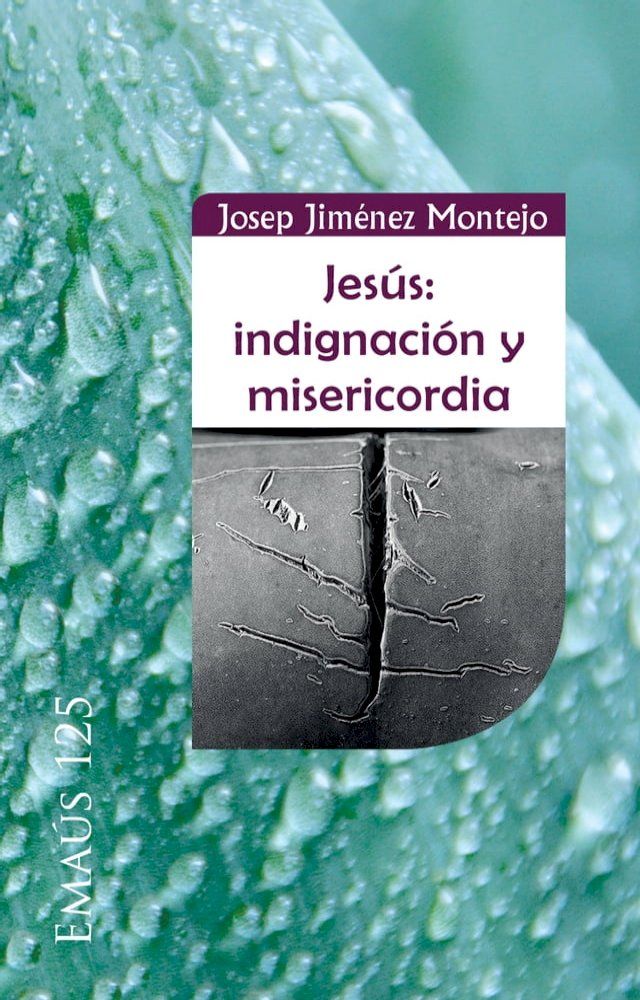  Jes&uacute;s: indignaci&oacute;n y misericordia(Kobo/電子書)