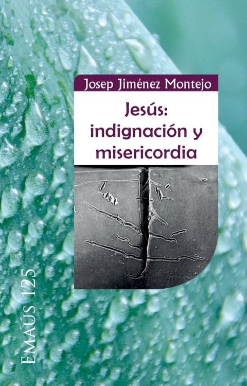 Jes&uacute;s: indignaci&oacute;n y misericordia(Kobo/電子書)